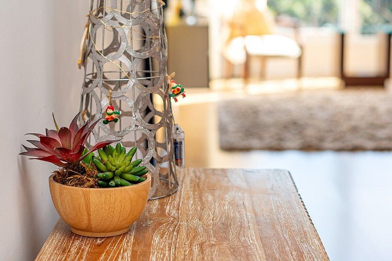 Rosa Apartamento Giovani Pizetta 302