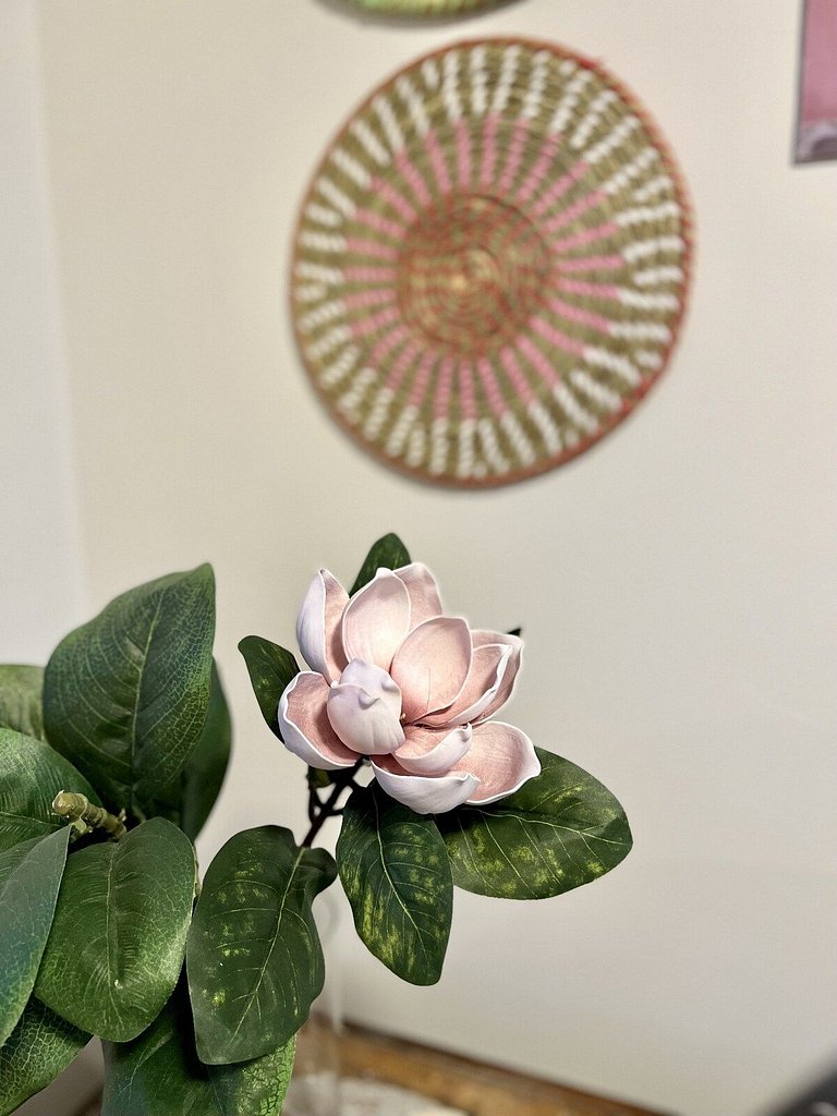 Rosa Apartamento KnorrVille