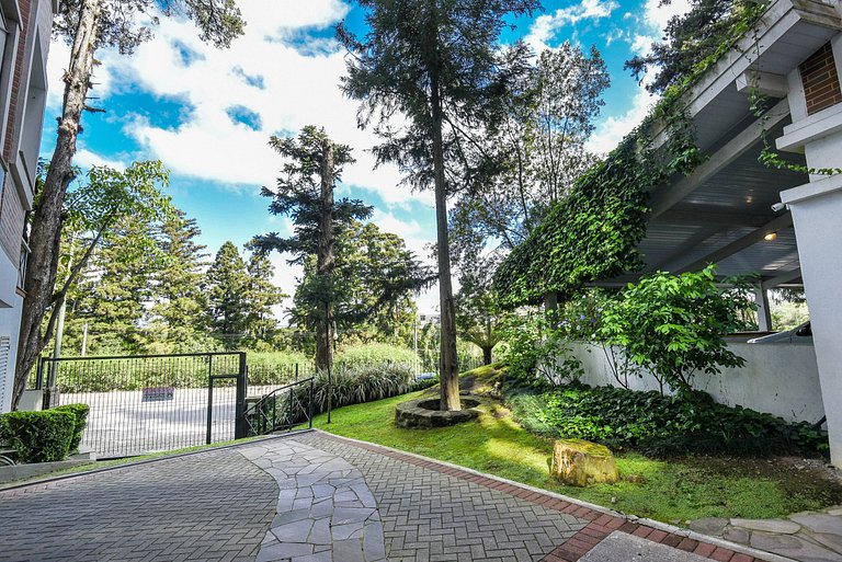 Rosa Apartamento Homelland 501