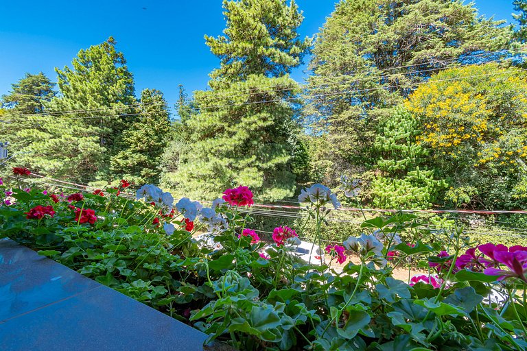 Rosa Apartamento Bellagio 307 A