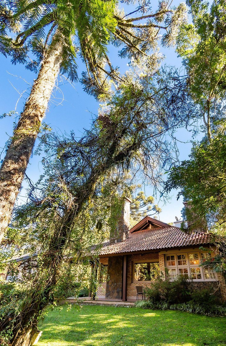 Rosa casa Jardim da Serra