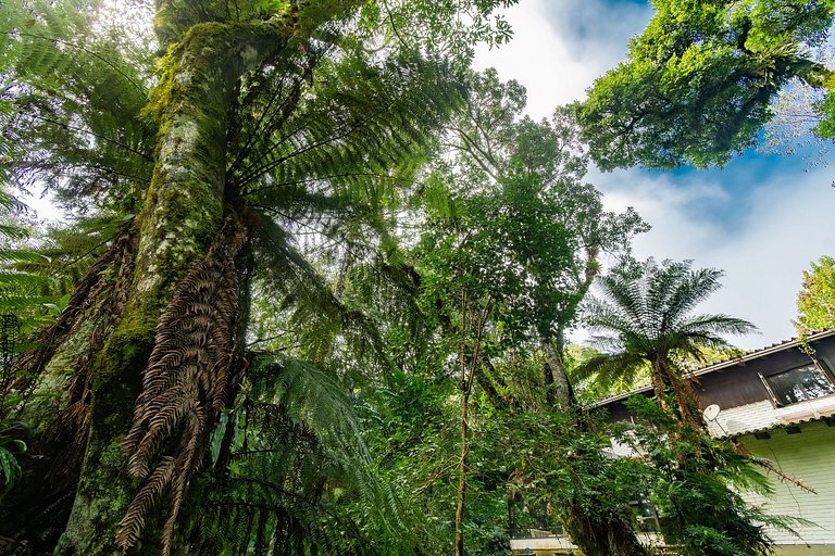 Rosa Sua Casa de Campo pertinho do Centro